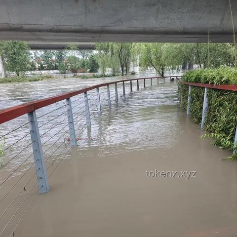 什么桥都敢堵？了解交通违法行为与公共安全